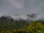 空山新雨后