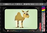 家畜和野生动物