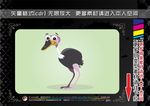 家畜和野生动物