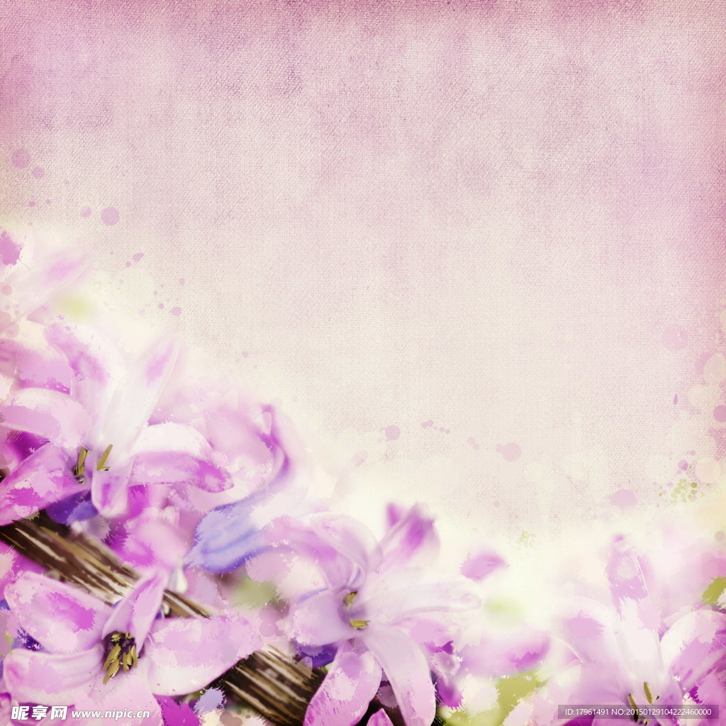百合花背景