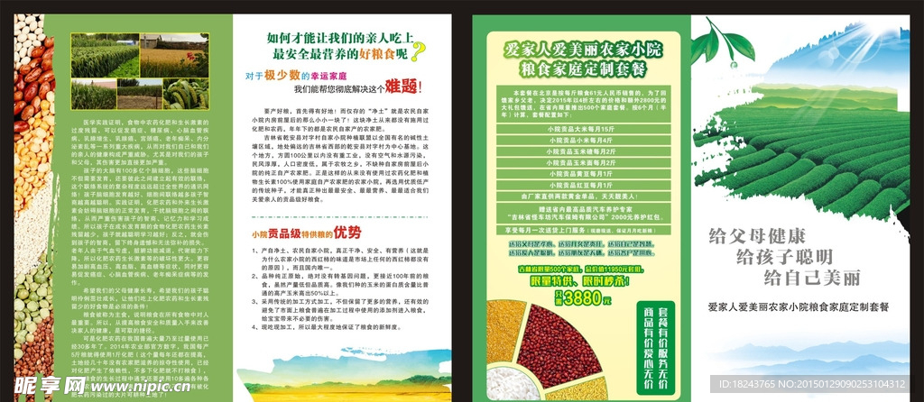 农业健康粮食对折页
