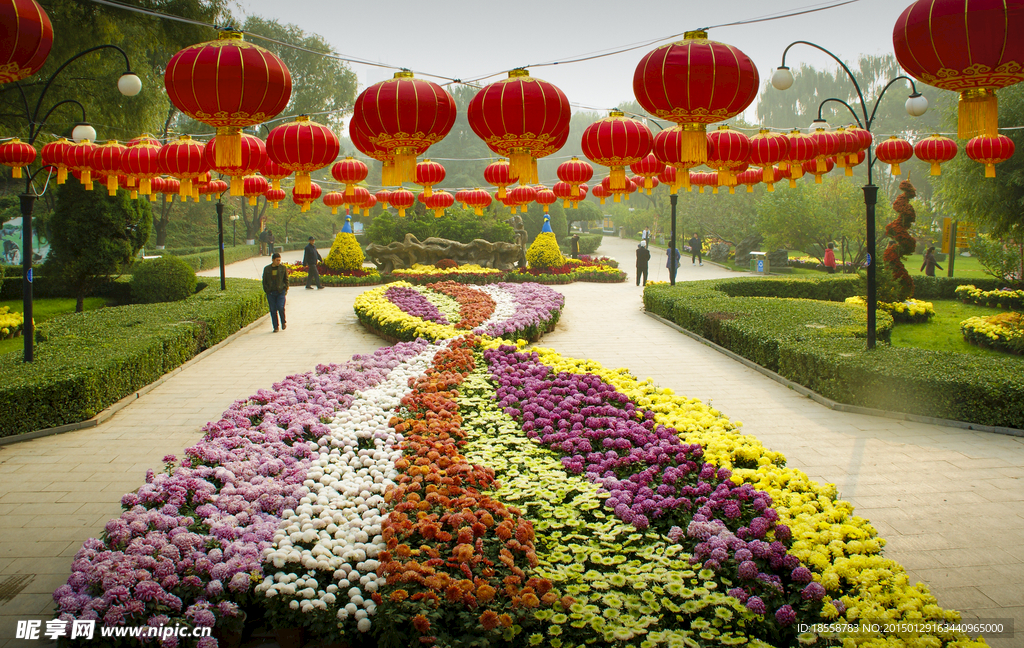 美丽花景