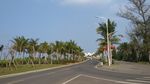 景观路