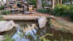 小区景观