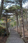 天柱山世界地质公园