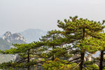 天柱山世界地质公园