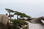 天柱山世界地质公园