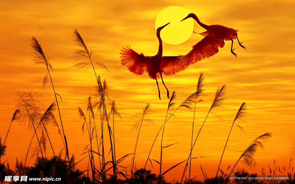 唯美白鹤夕阳