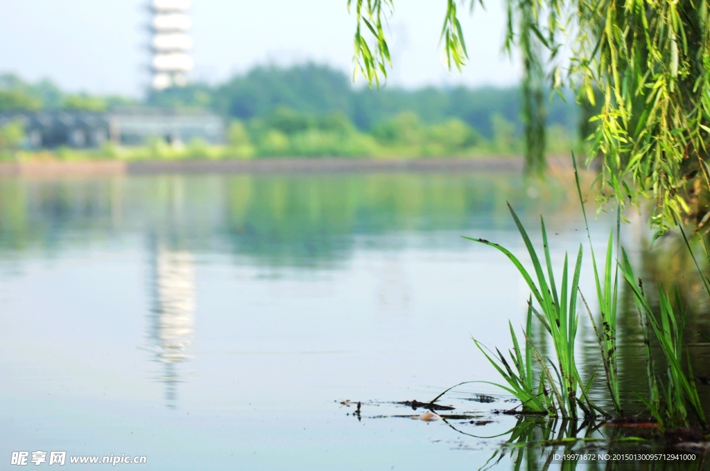 春水