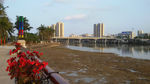 岸风景