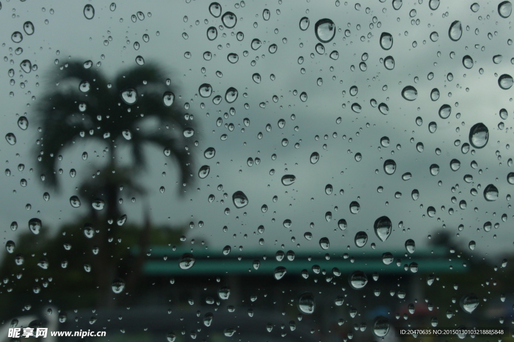 雨