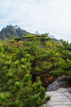 天柱山世界地质公园