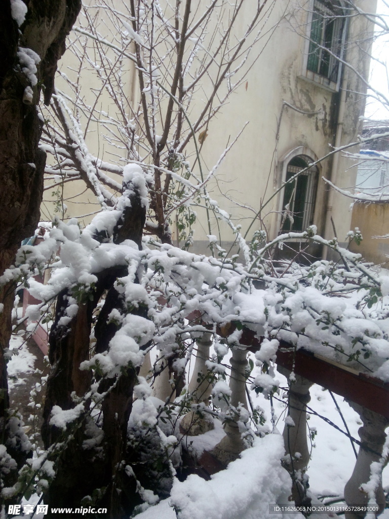 窗外雪景