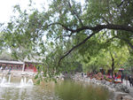 园林鱼池