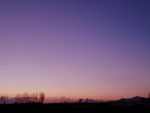 早晨
