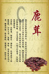 鹿茸