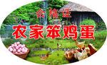 农家笨鸡蛋合格证