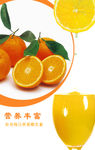 鲜橙
