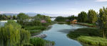 河边湿地公园景观