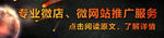微网站
