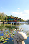 海埂公园