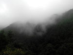 山林