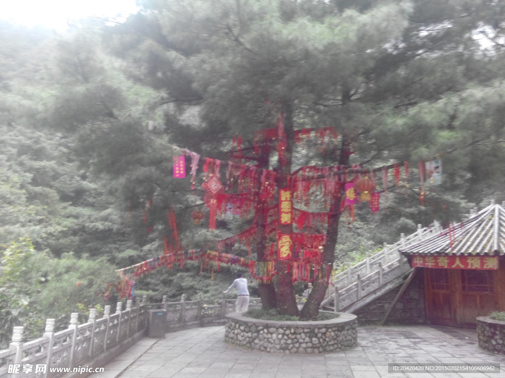 祈福树