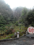 山林