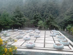 棋局