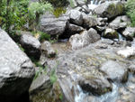 山石