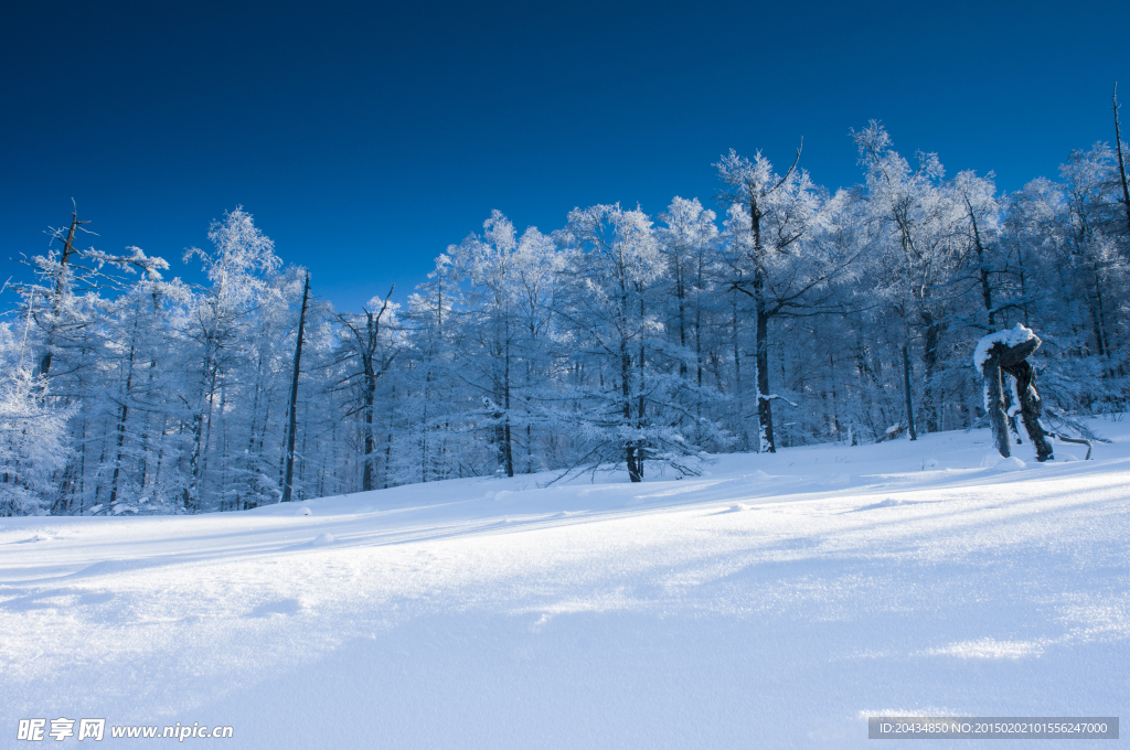林海雪原