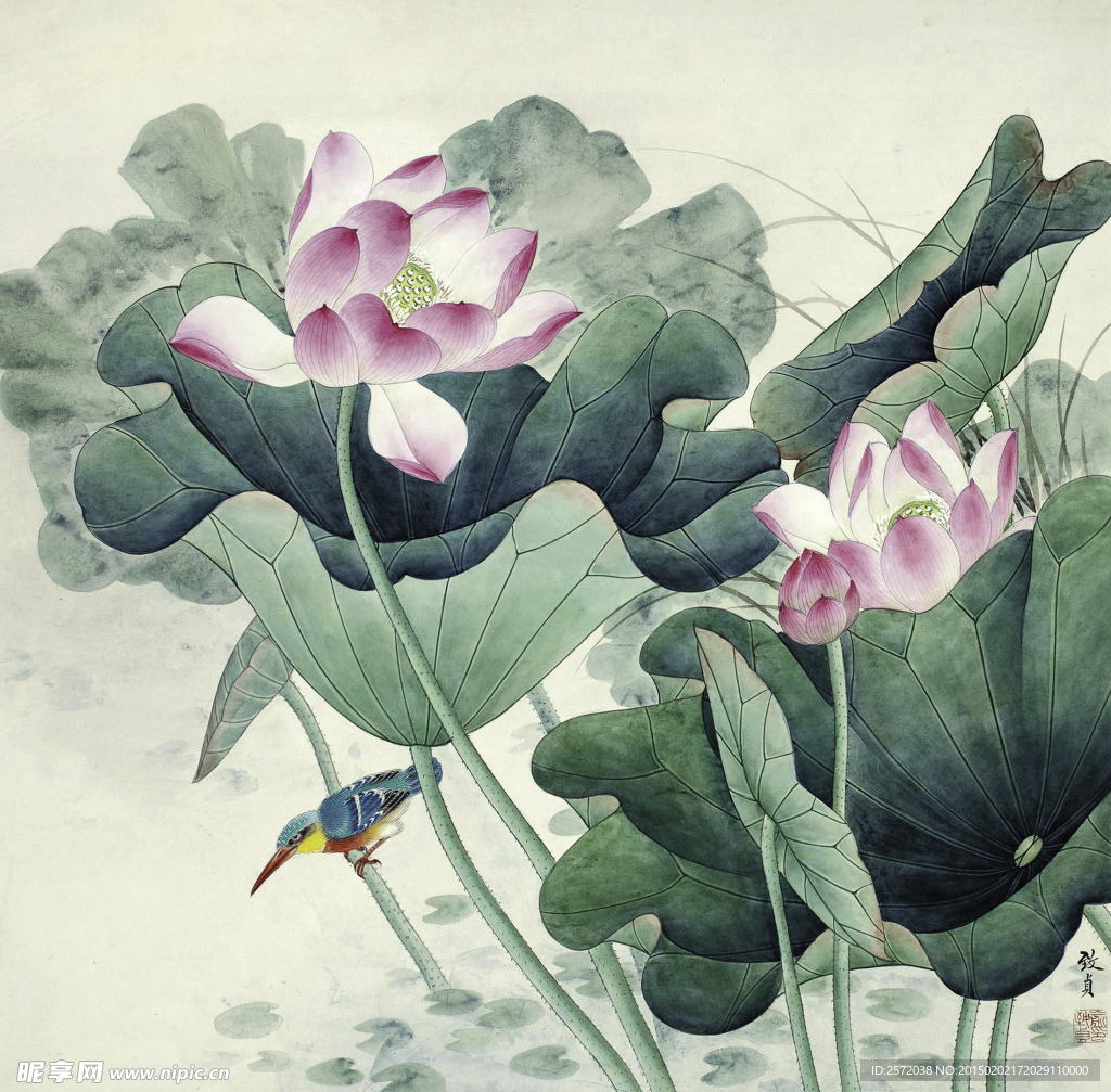 秋波菡萏