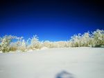 亚布力滑雪场 哈尔滨风光