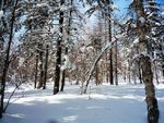 亚布力滑雪场 哈尔滨风光