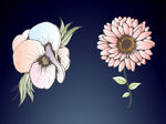 花朵矢量