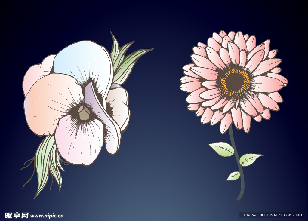 花朵矢量