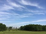 田园风光