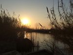 夕阳西下