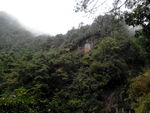 苍山
