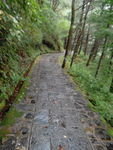 山道