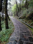 山道