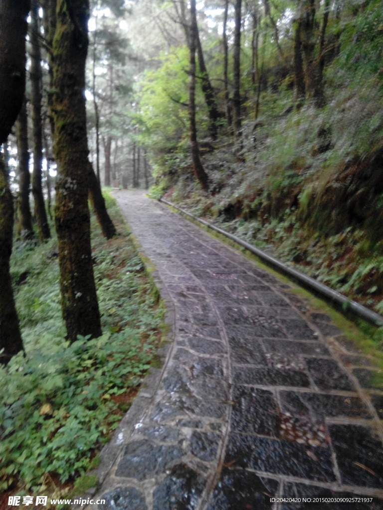 山道