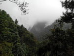 苍山