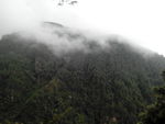 苍山