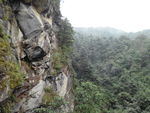 山林