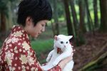 猫侍