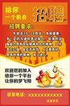 招聘海报