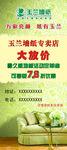 玉兰墙纸