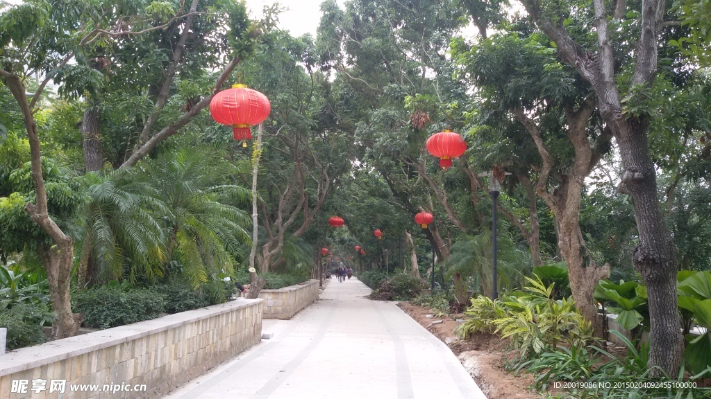 景观路