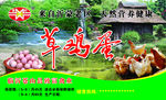 蒙山草鸡蛋